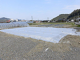 砕石地業 防蟻土壌処理 防湿シート敷込み