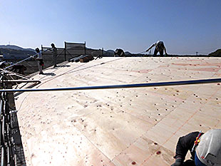 屋根仕舞 野地板